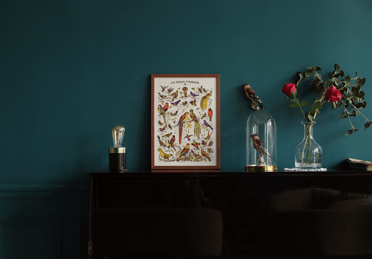 Poster : Les Oiseaux Etrangers