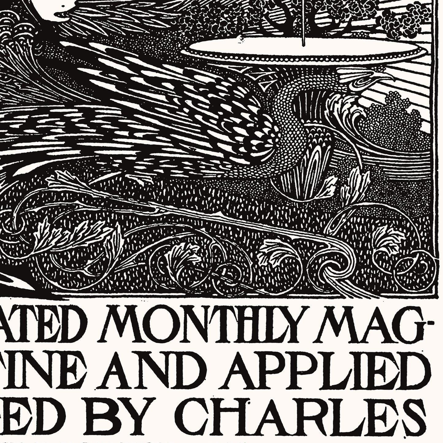 Affiche : The International Studio