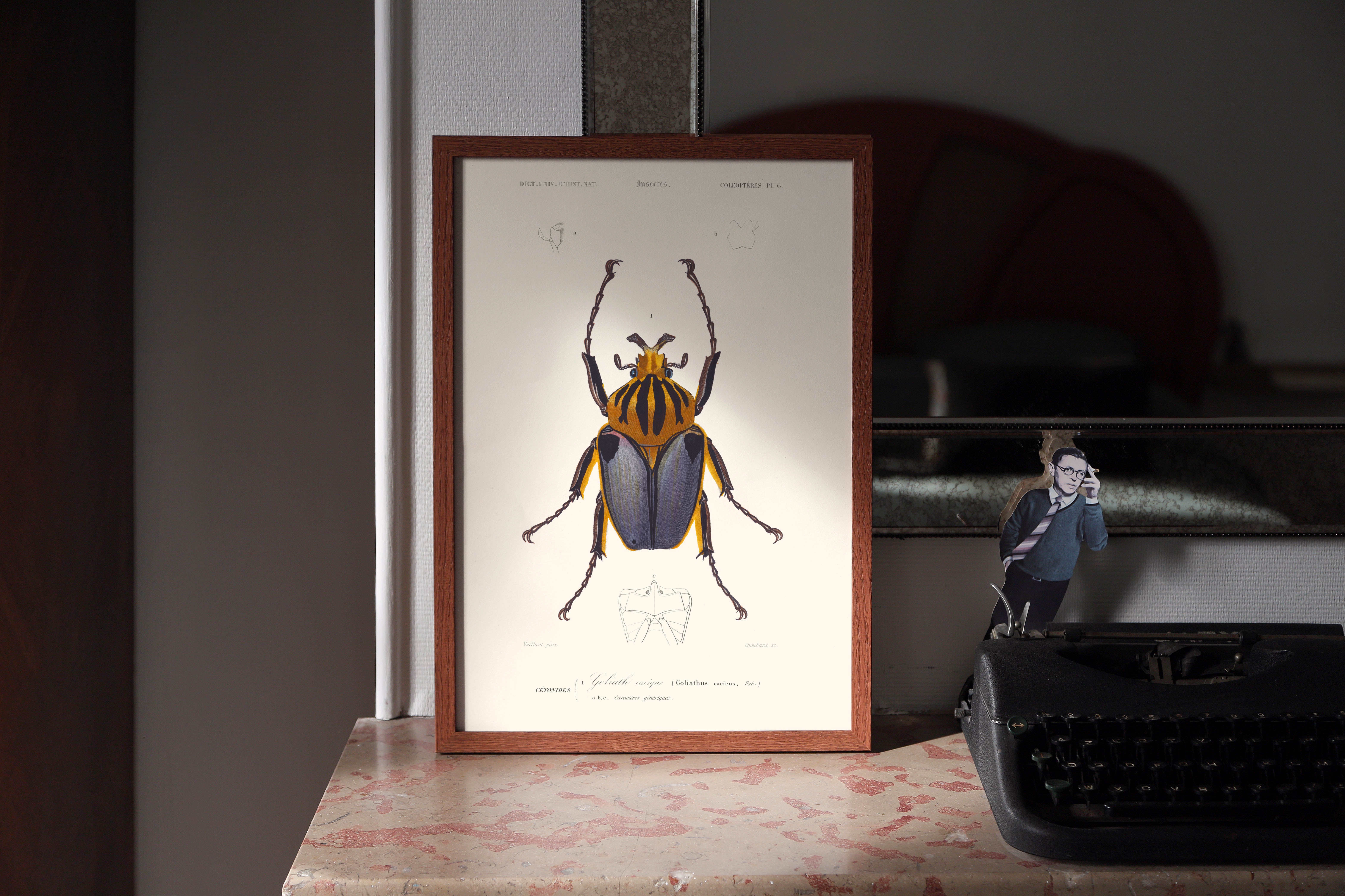 Mock Insect Insects – tagged