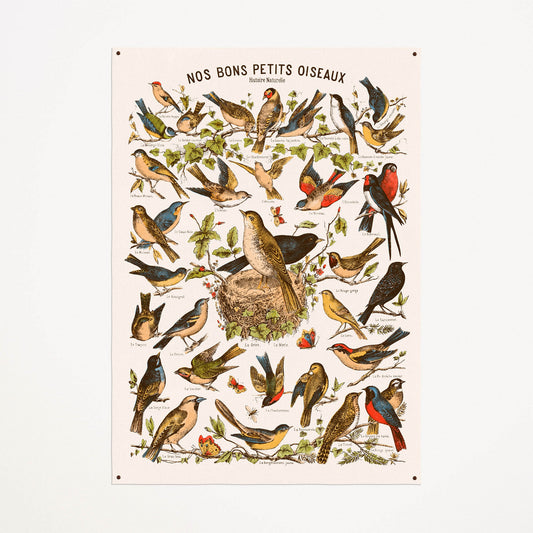 Toile : Nos Bons Petits Oiseaux