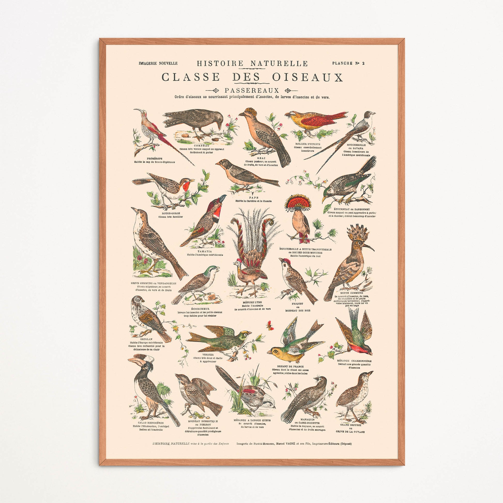 ANCIENNE AFFICHE SCOLAIRE LES RÉGIONS NATURELLES DE LA FRANCE - LE M ANCIENNE AFFICHE SCOLAIRE LES RÉGIONS NATURELLES DE LA FRANCE - LE M