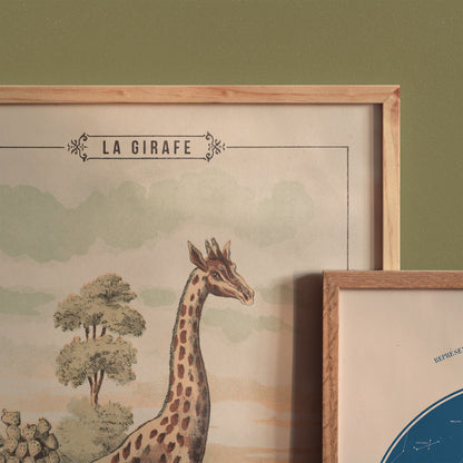 Affiche : Girafe