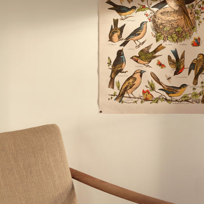 Toile : Nos Bons Petits Oiseaux