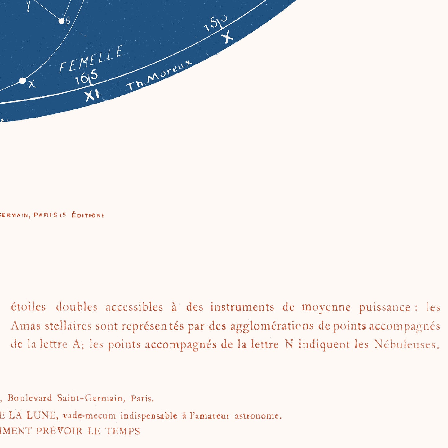 Affiche : Carte du Ciel - Constellations