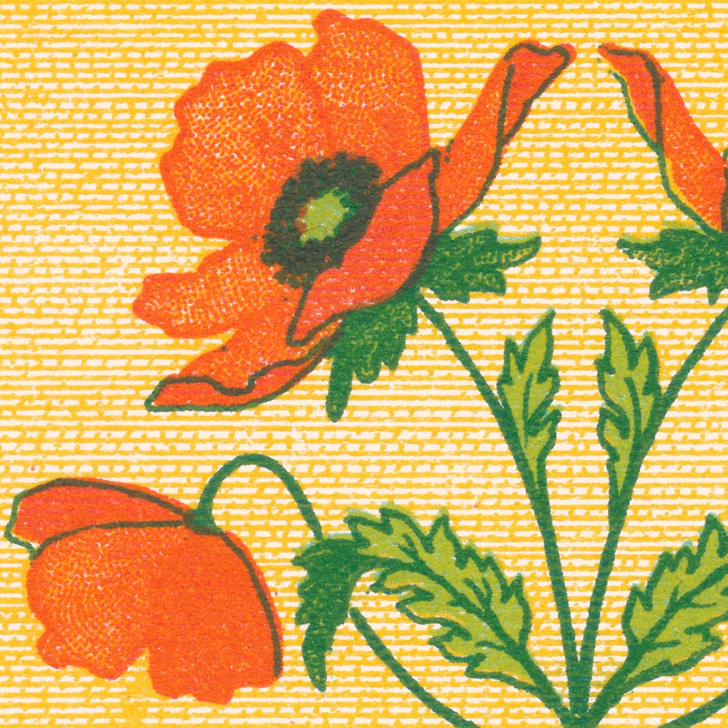 Poster: Poppies - The School Decorator