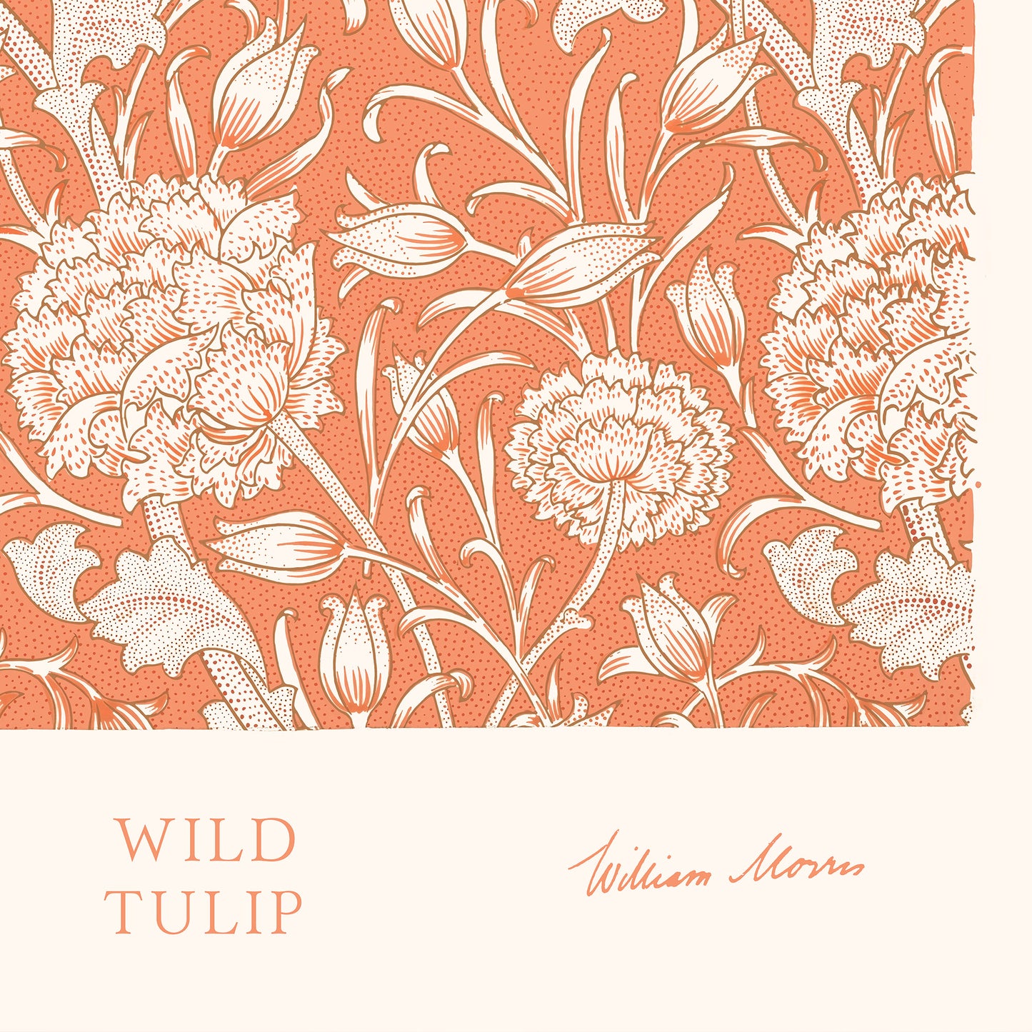 Affiche : Wild Tulip - William Morris