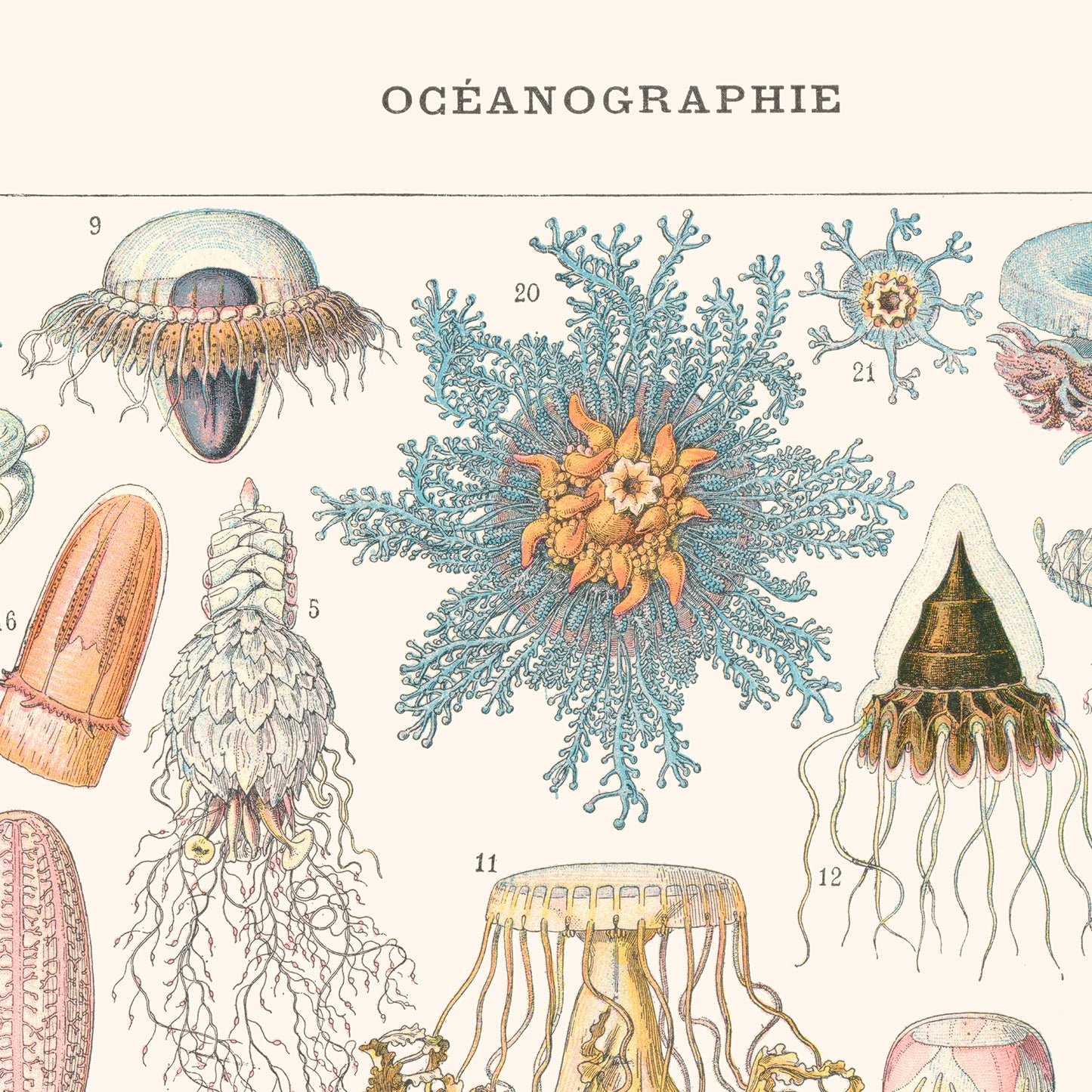 Poster: Oceanography