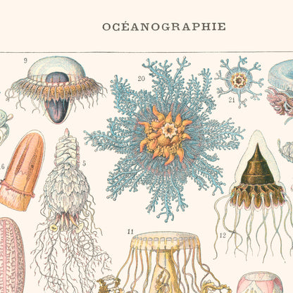 Poster: Oceanography