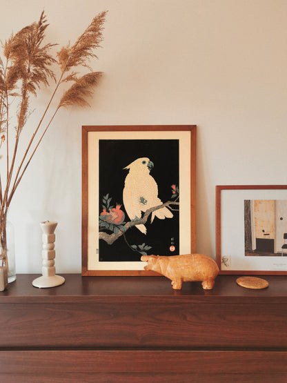 Affiche : Cacatoès à la Grenade