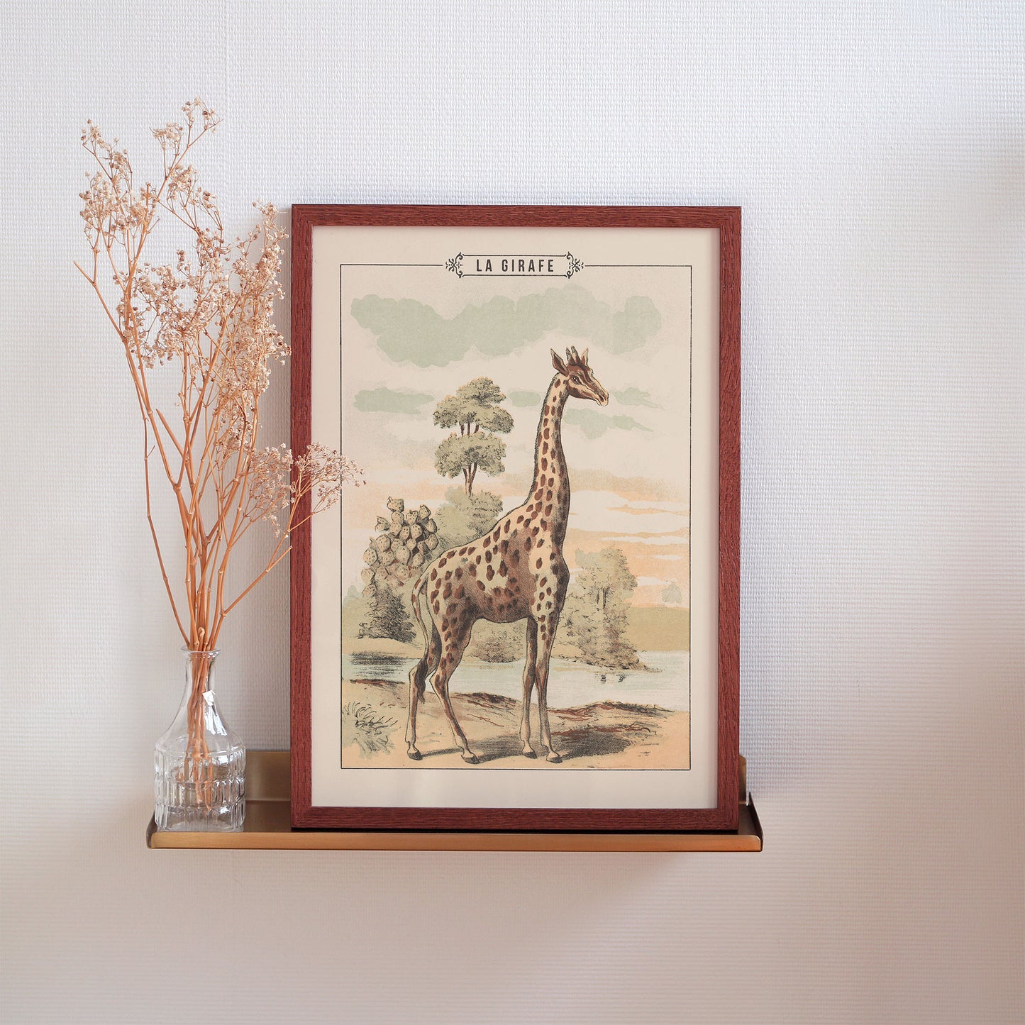 Affiche : Girafe