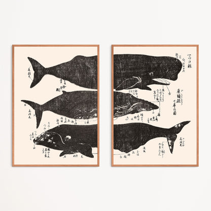 Diptych: Whales 鯨 Jokō roku 除蝗録 - Hasegawa Settan