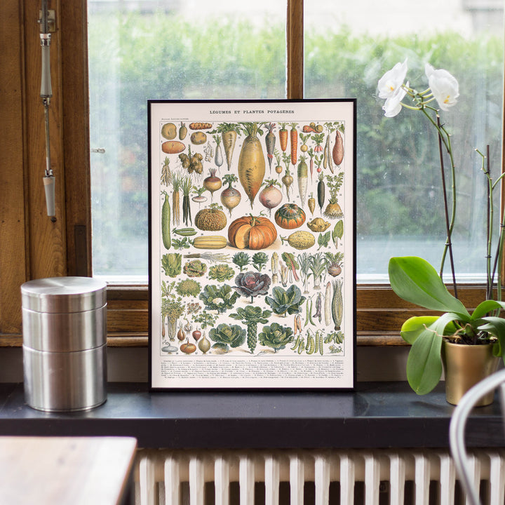 Affiche vintage cuisine Albertier Franc - Poster botanique vintage main image 1