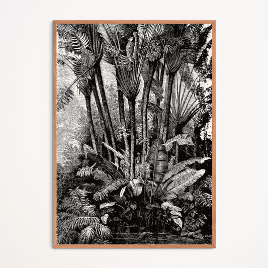Affiche : Palmiers dans l'eau