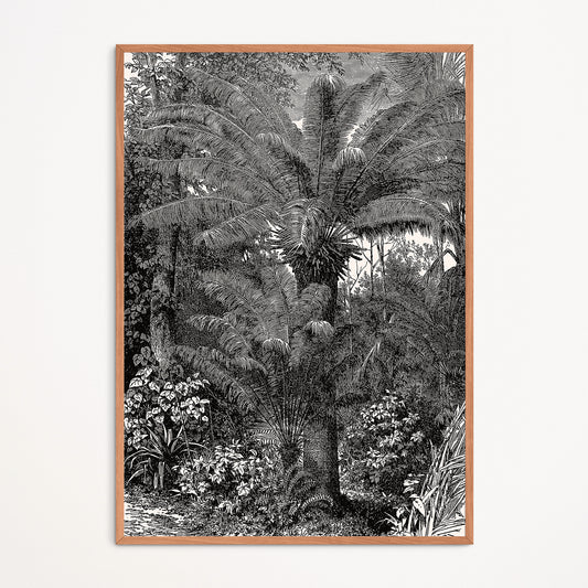 Affiche : Palmiers Tropicaux