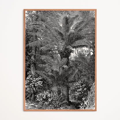 Poster : Tropical Palm