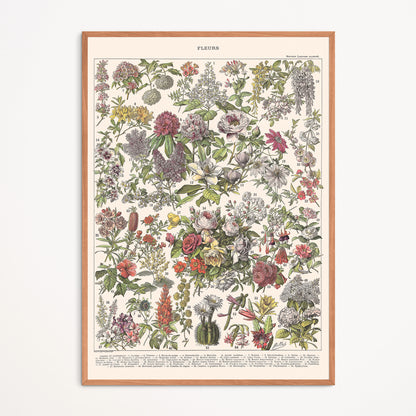 Affiche : Fleurs II