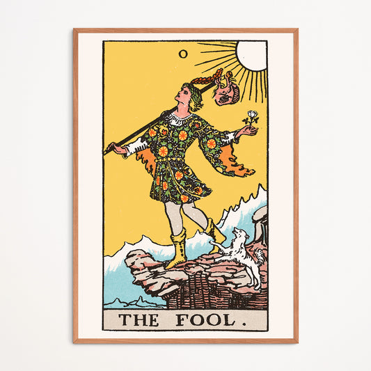 Affiche : The Fool