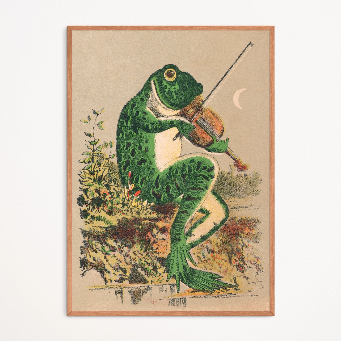 Poster : Frog playing the violin