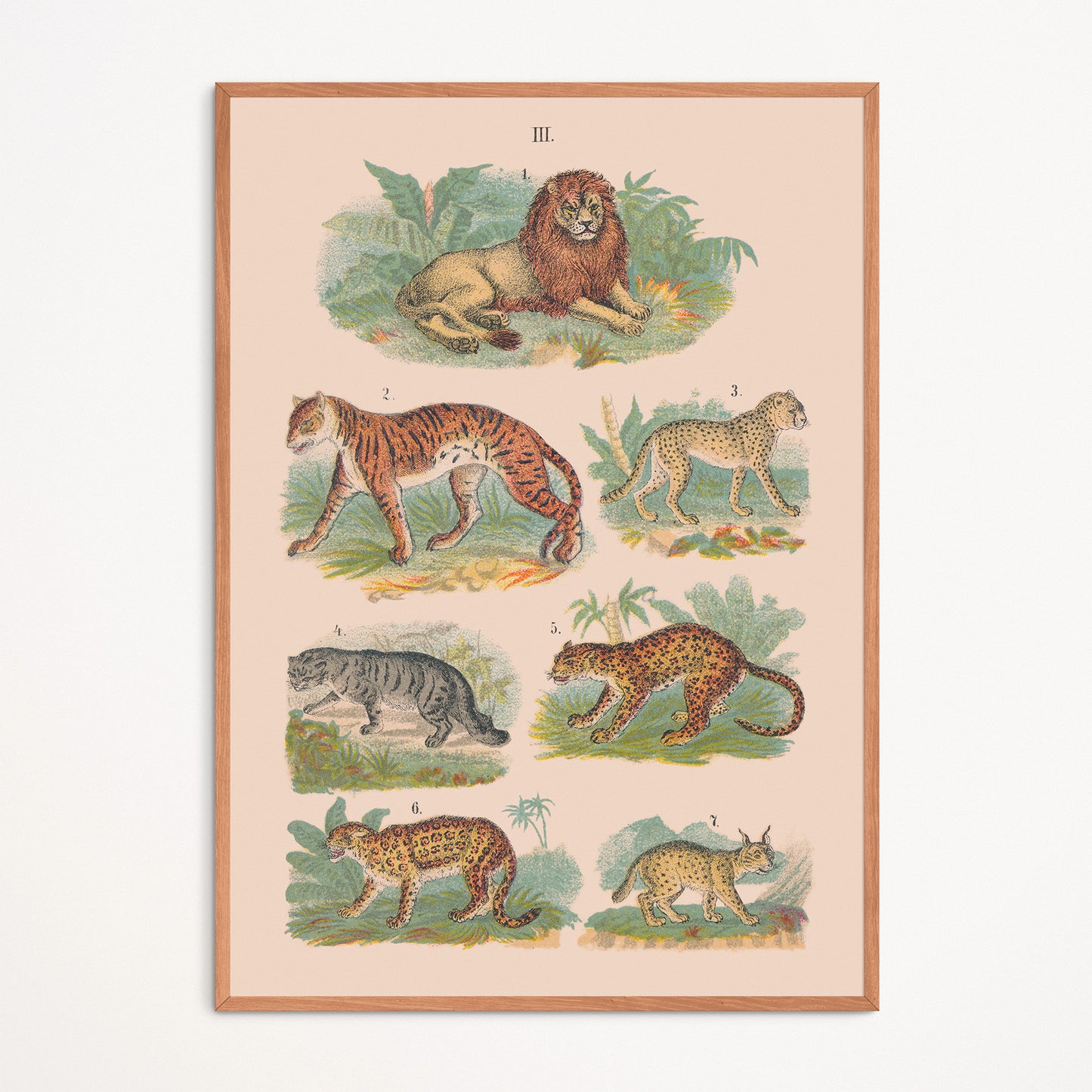 Affiche: Wilde dieren