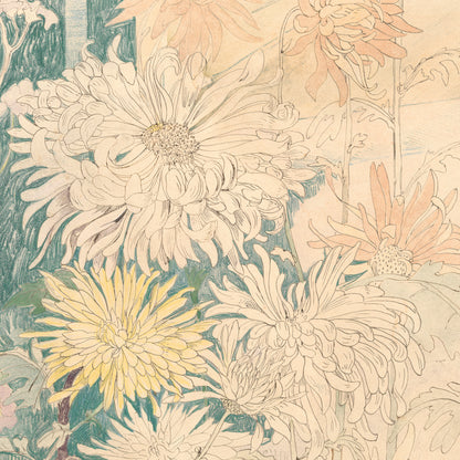 Affiche : Chrysanthèmes
