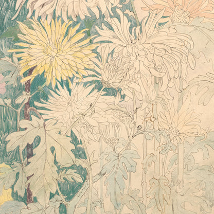 Affiche : Chrysanthèmes