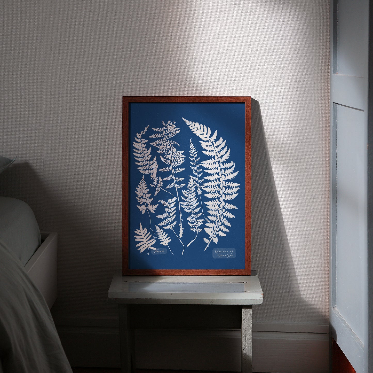 Poster : Ferns, Specimen of Cyanotype - Anna Atkins