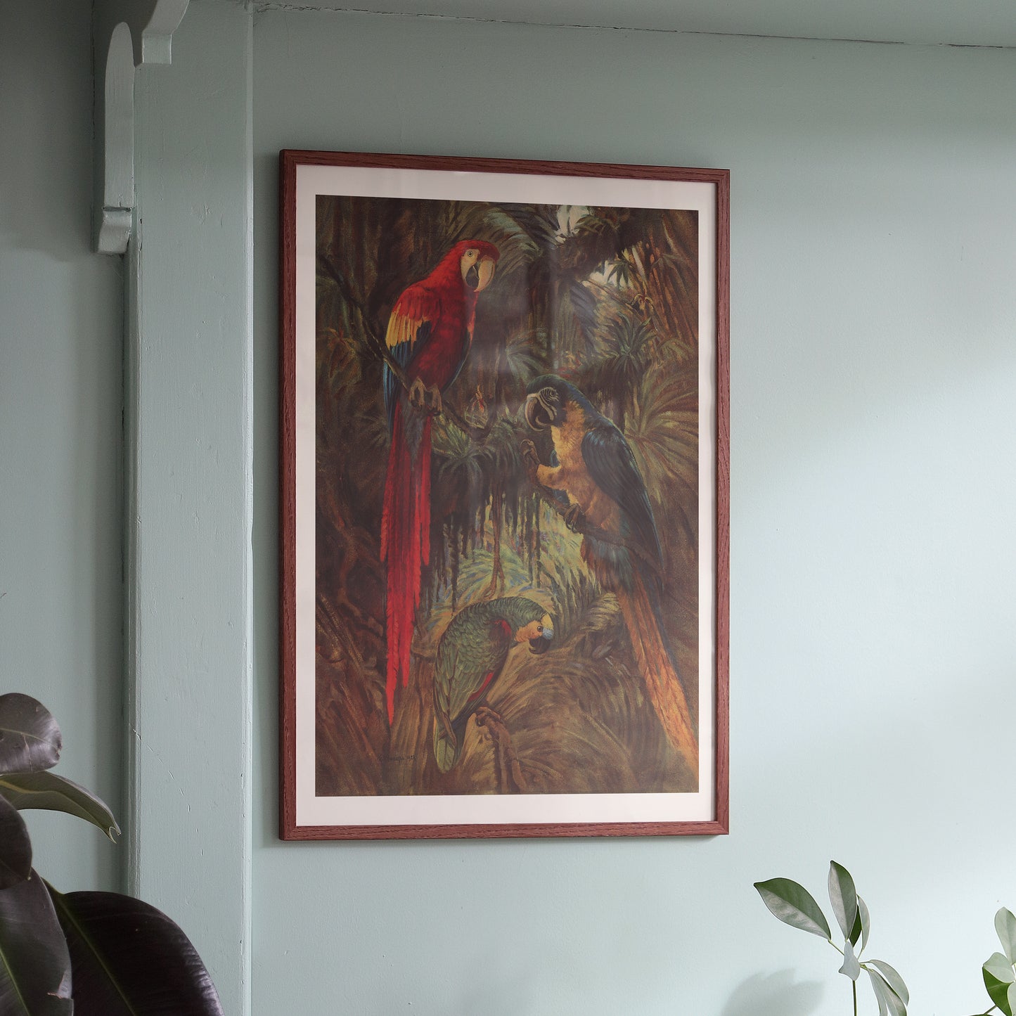 Affiche : Les Trois Perroquets