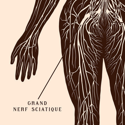 Poster: Nervous System